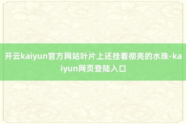 开云kaiyun官方网站叶片上还挂着彻亮的水珠-kaiyun网页登陆入口