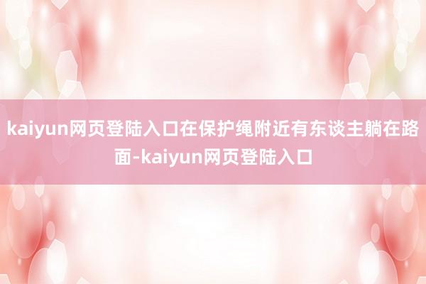 kaiyun网页登陆入口在保护绳附近有东谈主躺在路面-kaiyun网页登陆入口