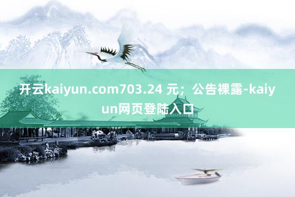 开云kaiyun.com703.24 元；公告裸露-kaiyun网页登陆入口