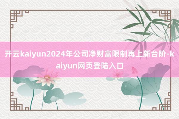 开云kaiyun2024年公司净财富限制再上新台阶-kaiyun网页登陆入口