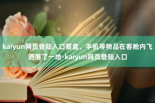 kaiyun网页登陆入口餐盒、手机等物品在客舱内飞洒落了一地-kaiyun网页登陆入口