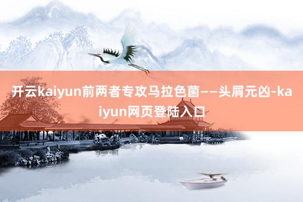 开云kaiyun前两者专攻马拉色菌——头屑元凶-kaiyun网页登陆入口