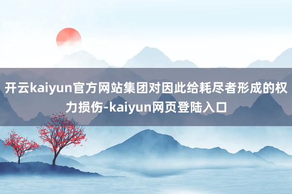 开云kaiyun官方网站集团对因此给耗尽者形成的权力损伤-kaiyun网页登陆入口